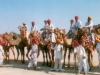 Camel Festival 4